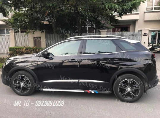 Bệ bước chân xe Peugeot