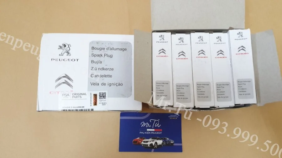 bugi-xe-peugeot-bosch (1)
