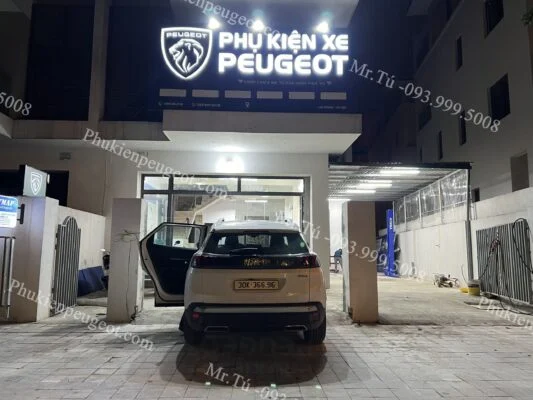 Thay thế phụ tùng Peugeot 3008