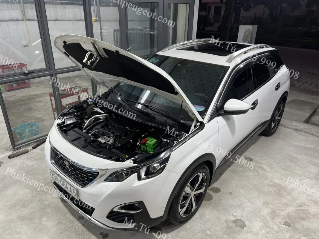 sửa chữa xe Peugeot tại Quảng Ninh