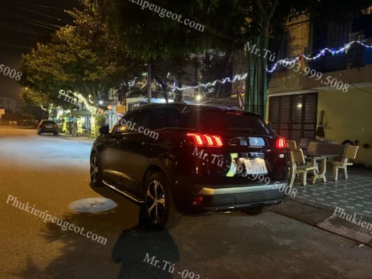 mở tính năng ẩn xe Peugeot