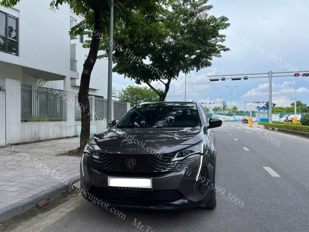 Mặt ca lăng Peugeot 5008