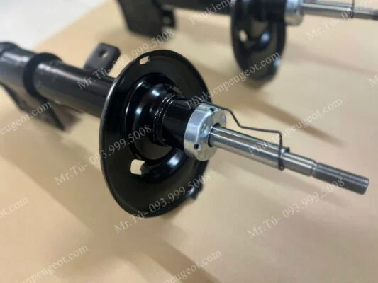 phụ tùng xe Peugeot tại Đồng Nai 