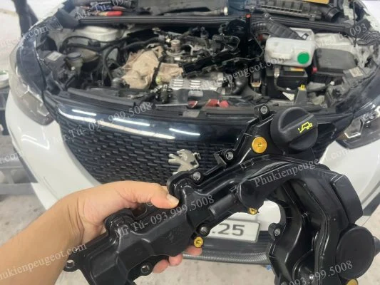 phụ tùng Peugeot quận Tân Bình HCM