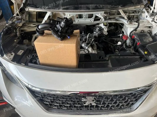 phụ tùng Peugeot quận Tân Bình HCM