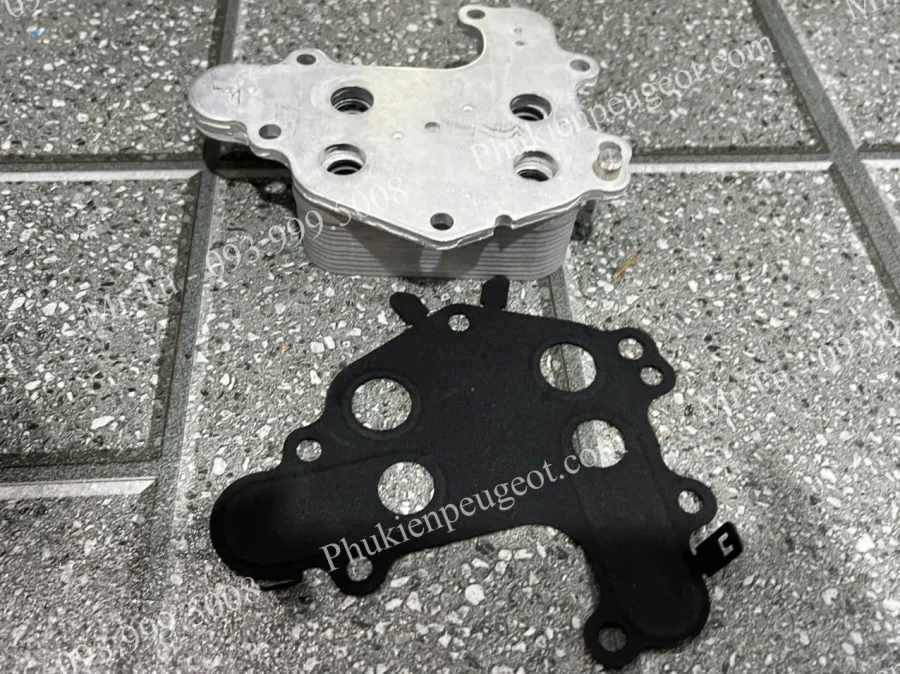 ket-sinh-han-dong-co-peugeot-2008 (1)