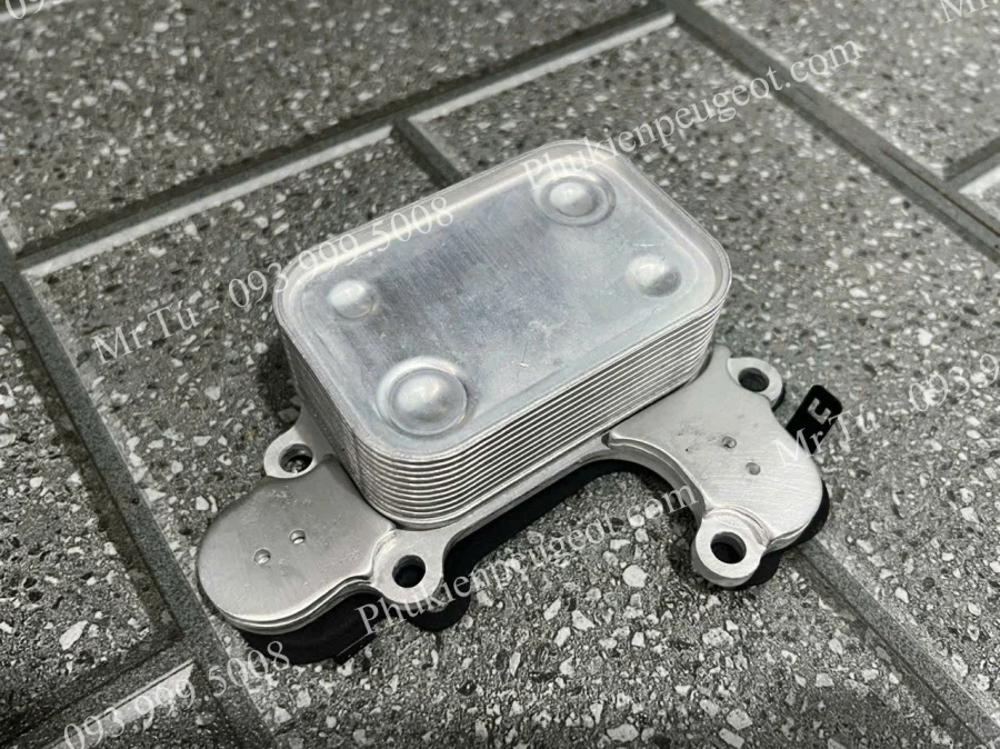 ket-sinh-han-dong-co-peugeot-2008 (3)