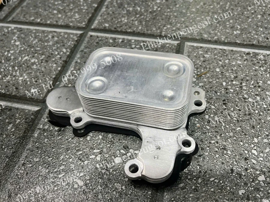 ket-sinh-han-dong-co-peugeot-2008 (4)