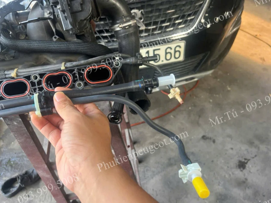 ong-hoi-xang-peugeot (1)